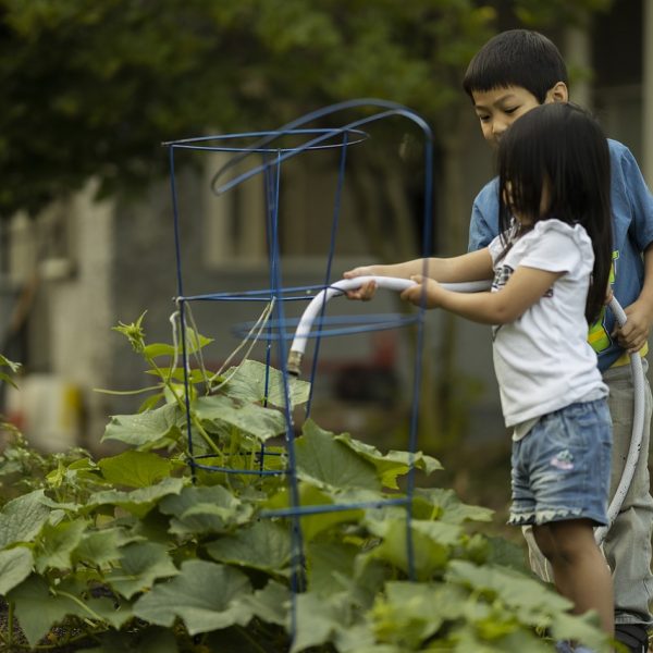children, gardening, vegetable garden-7338082.jpg